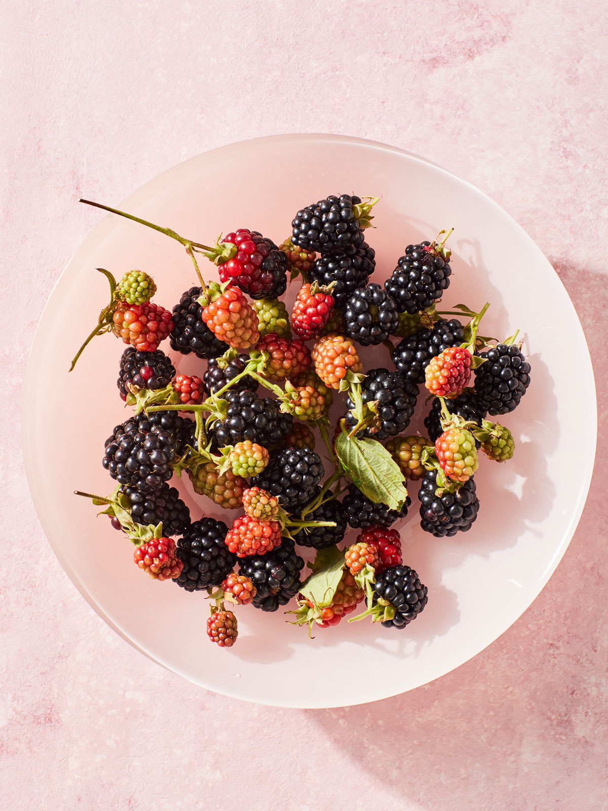 blackberries-nicole-gerulat